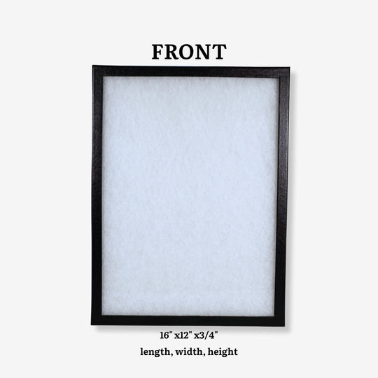 Display Case 16"x12"x3/4"