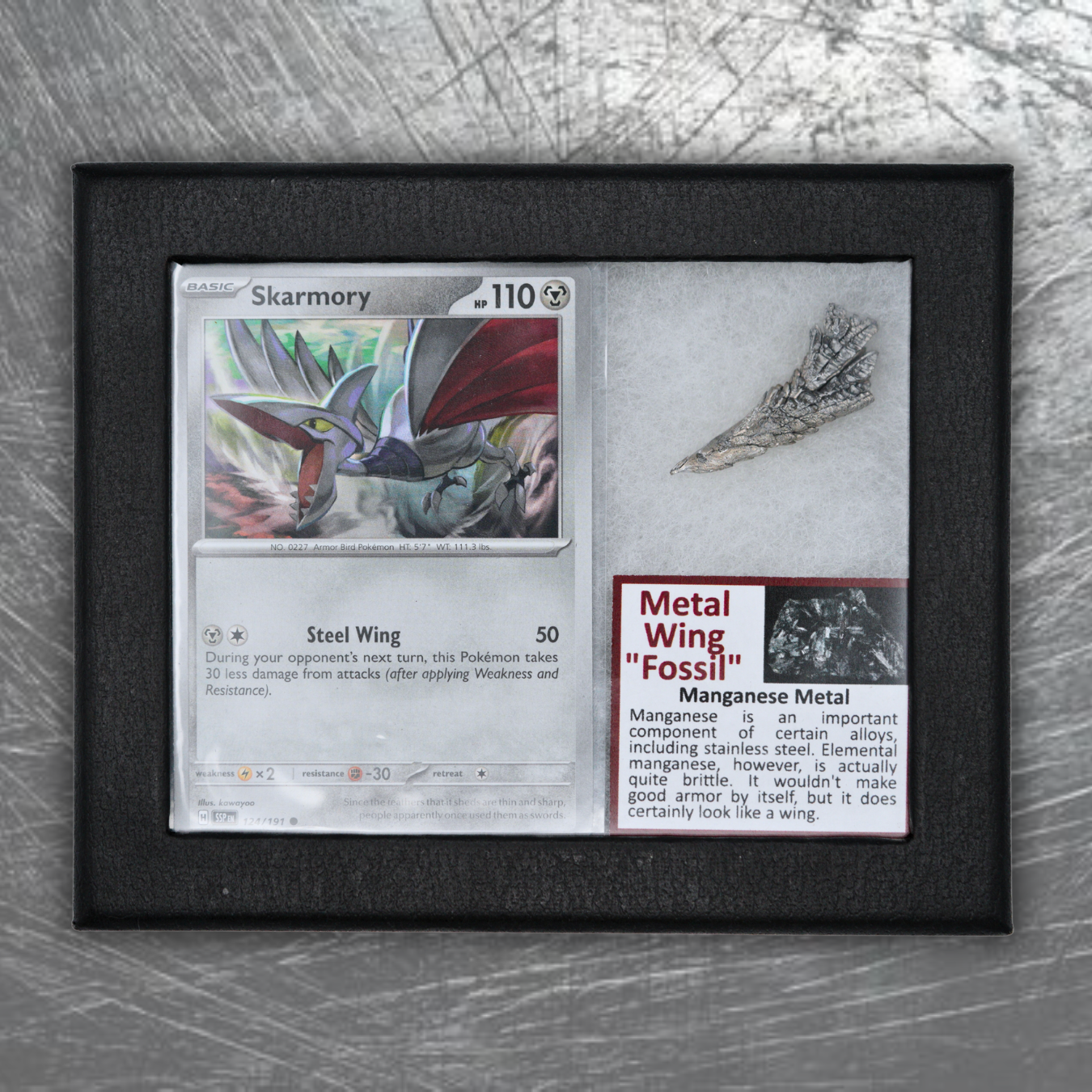 Skarmory Pokémon Fossil Display