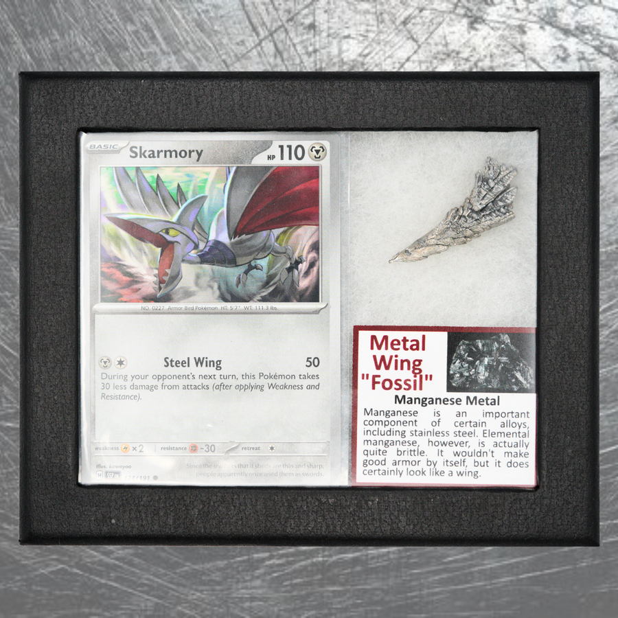 Skarmory Pokémon Fossil Display