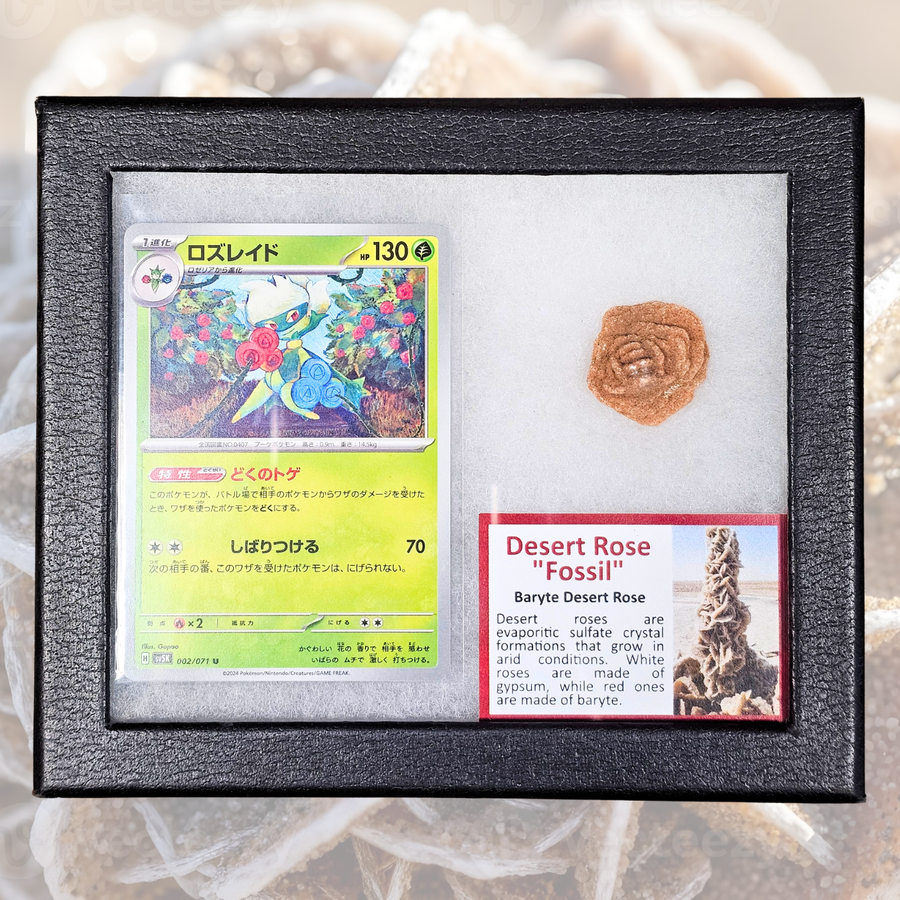 Roserade Pokémon Fossil Display