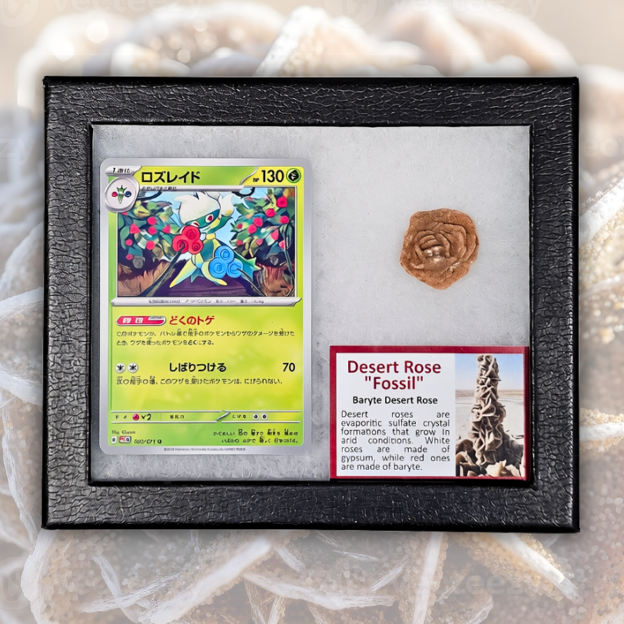Roserade Pokémon Fossil Display
