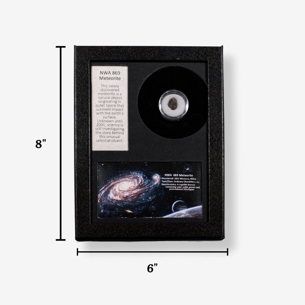NWA 869 Meteorite Display