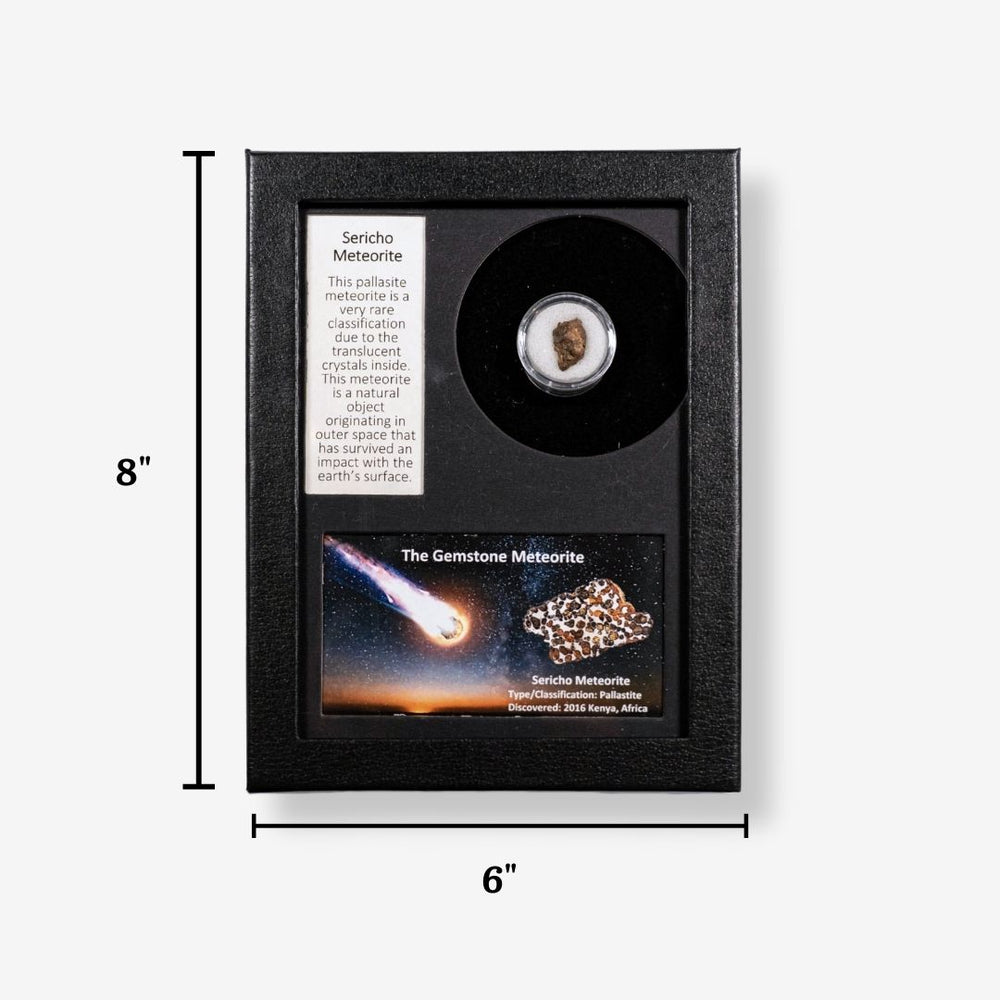 Sericho Pallasite Meteorite Display