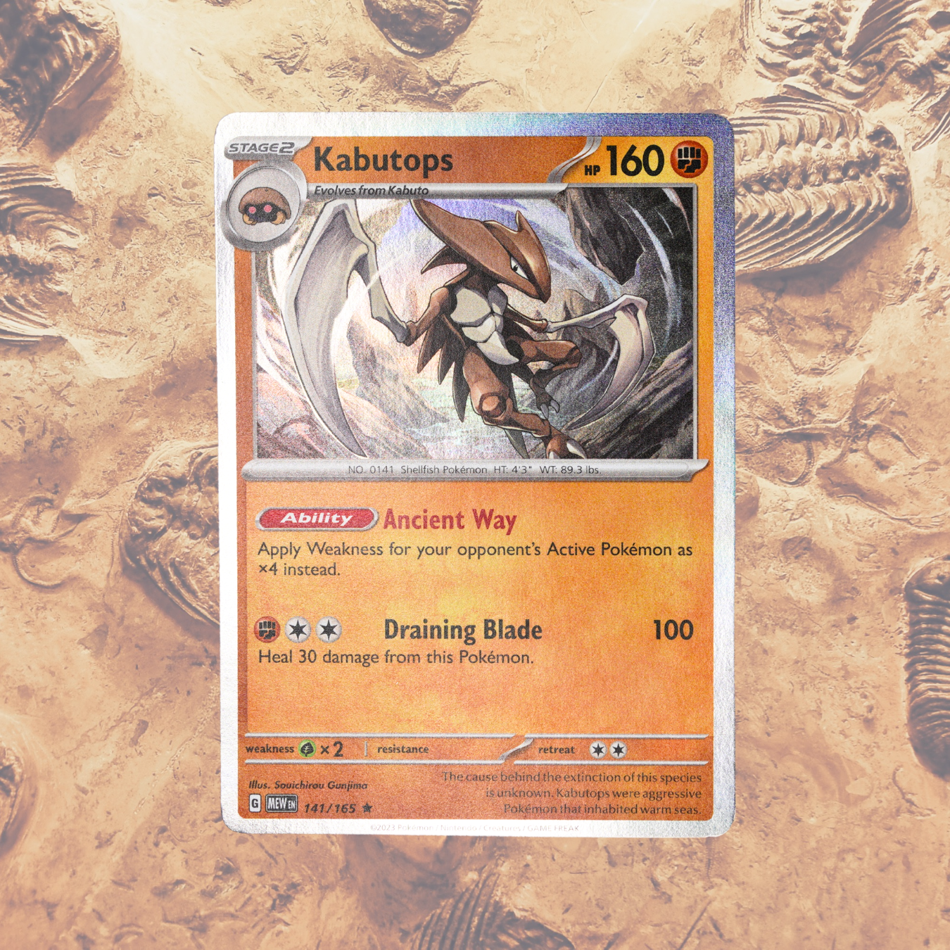 Pokémon Fossil Display – Kabutops Trilobite Fossil