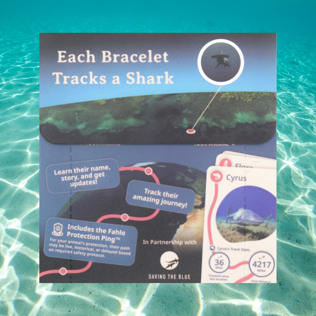 Fahlo Shark Tracking Bracelet