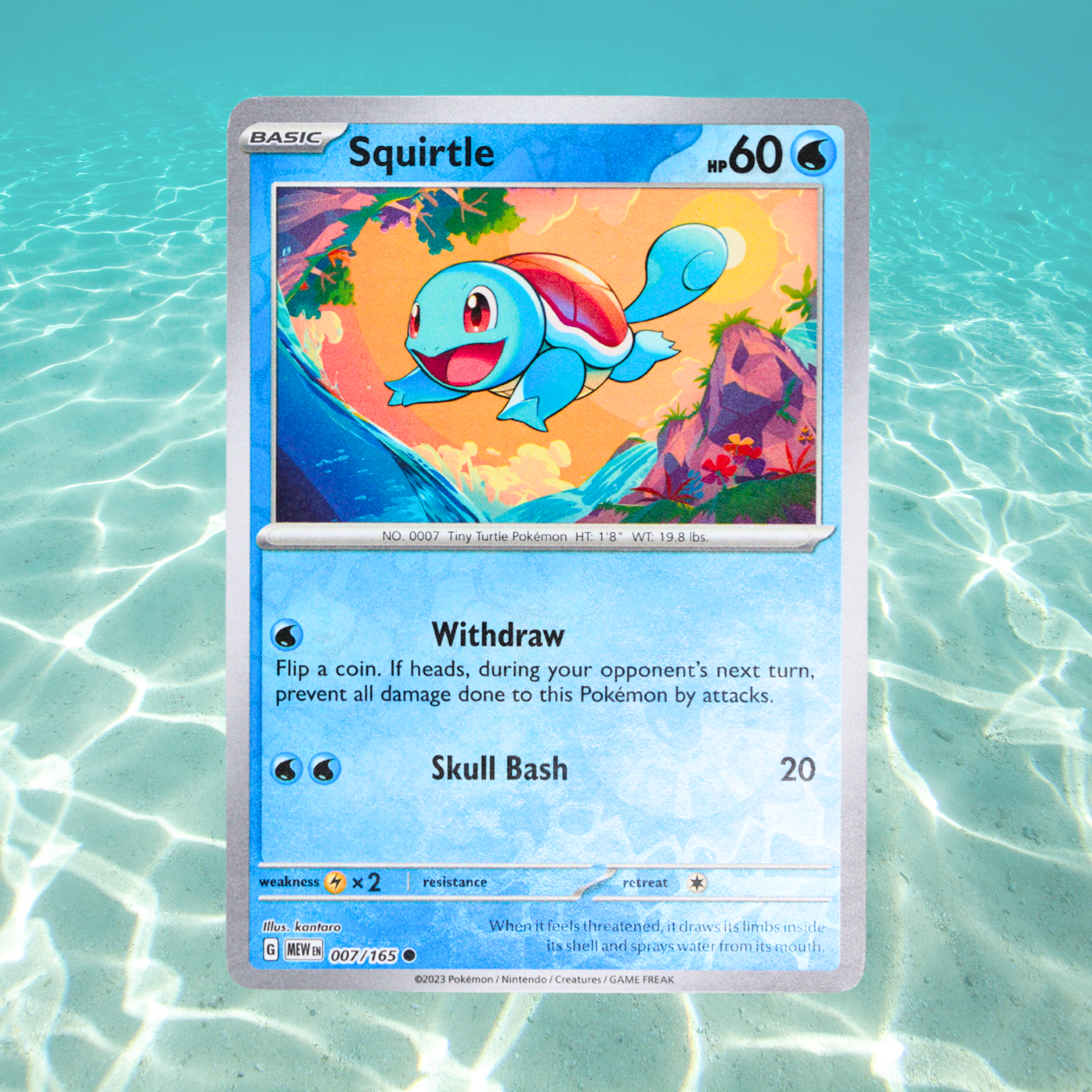Pokémon Fossil Display – Squirtle with Turtle Shell Fossil