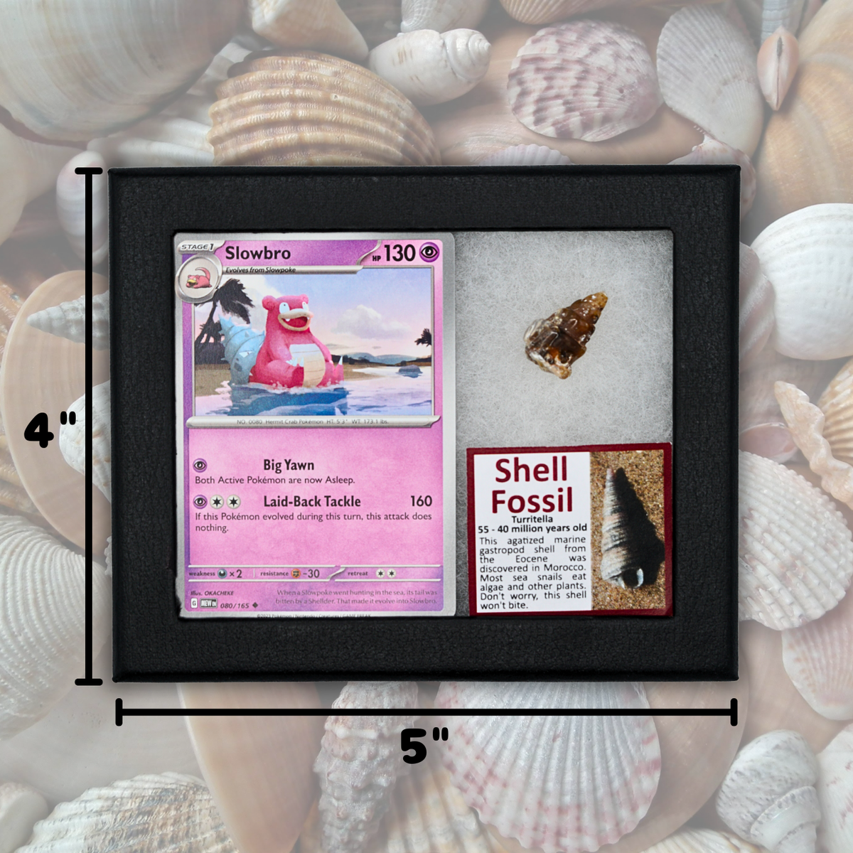 Pokémon Fossil Display - Slowbro with Shell Fossil