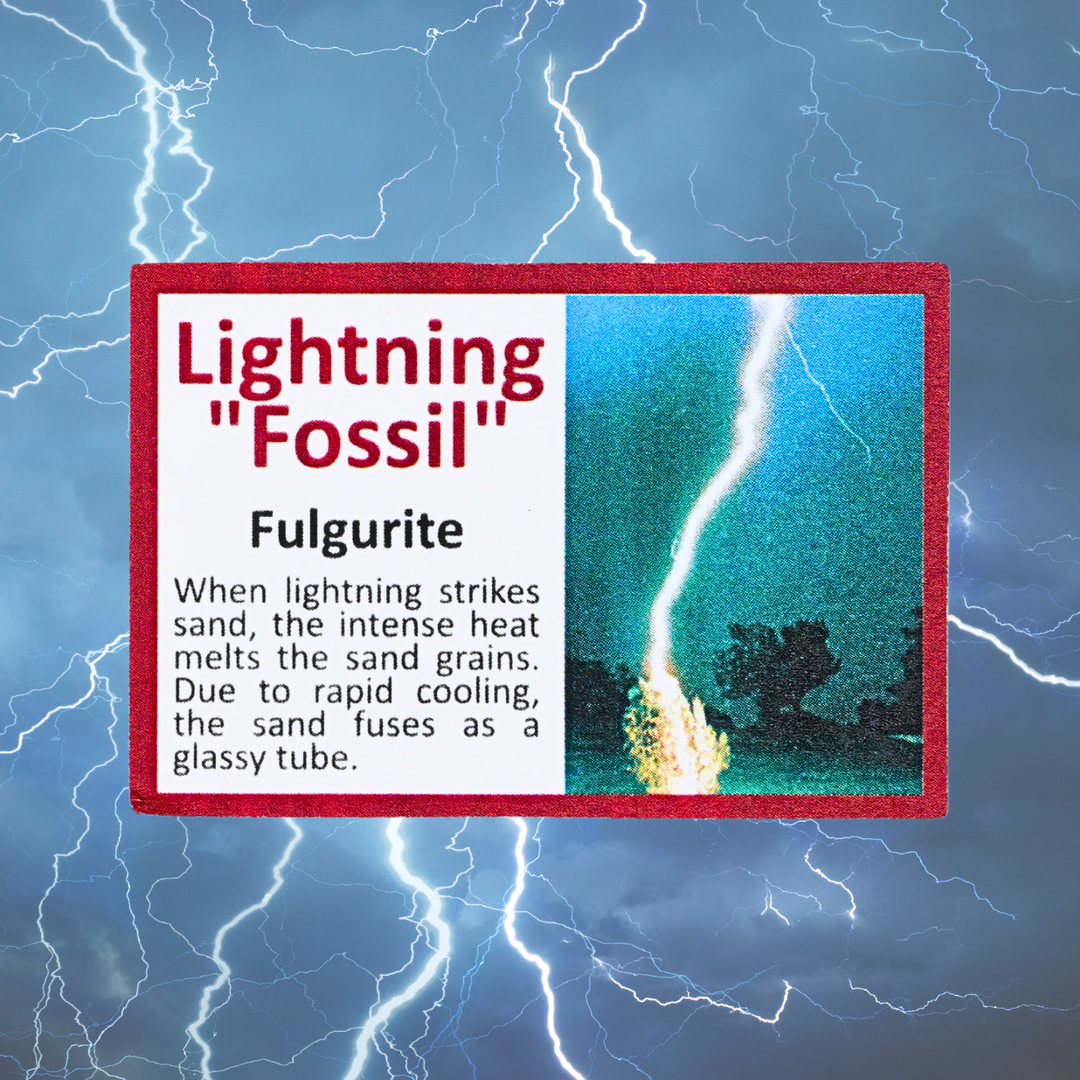 Pokemon Fulgurite Fossil Display - Pikachu