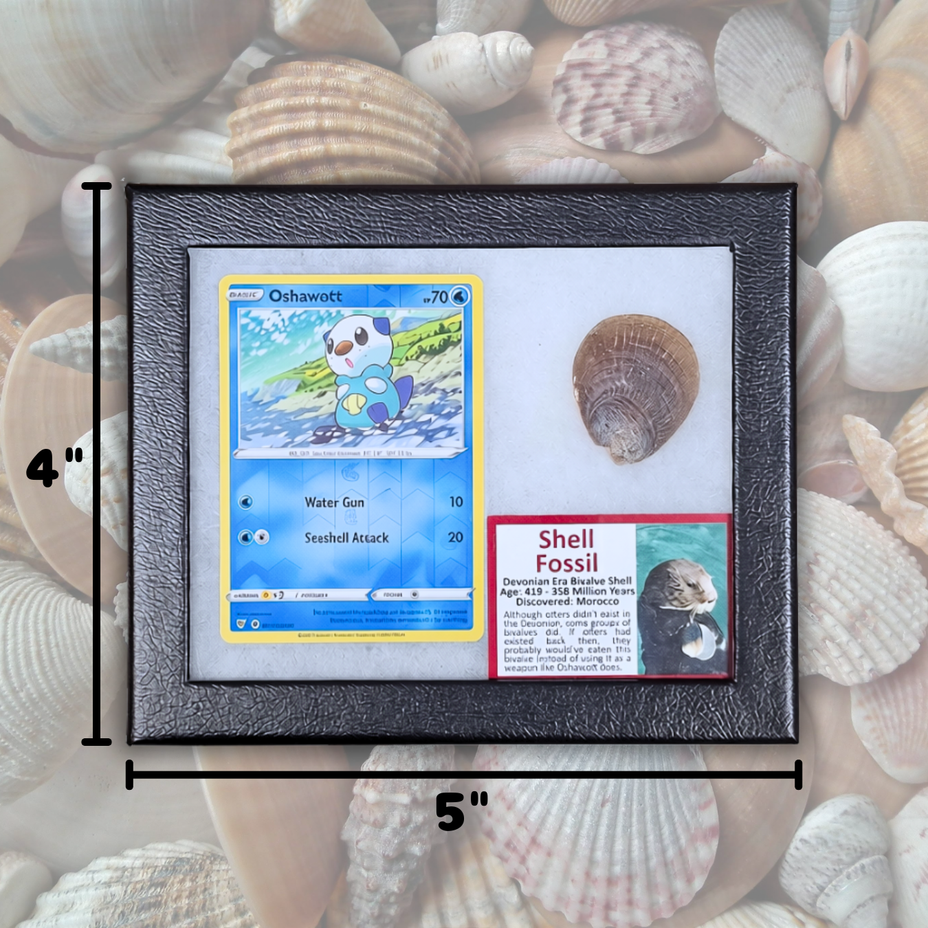 Oshawott Pokémon Fossil Display
