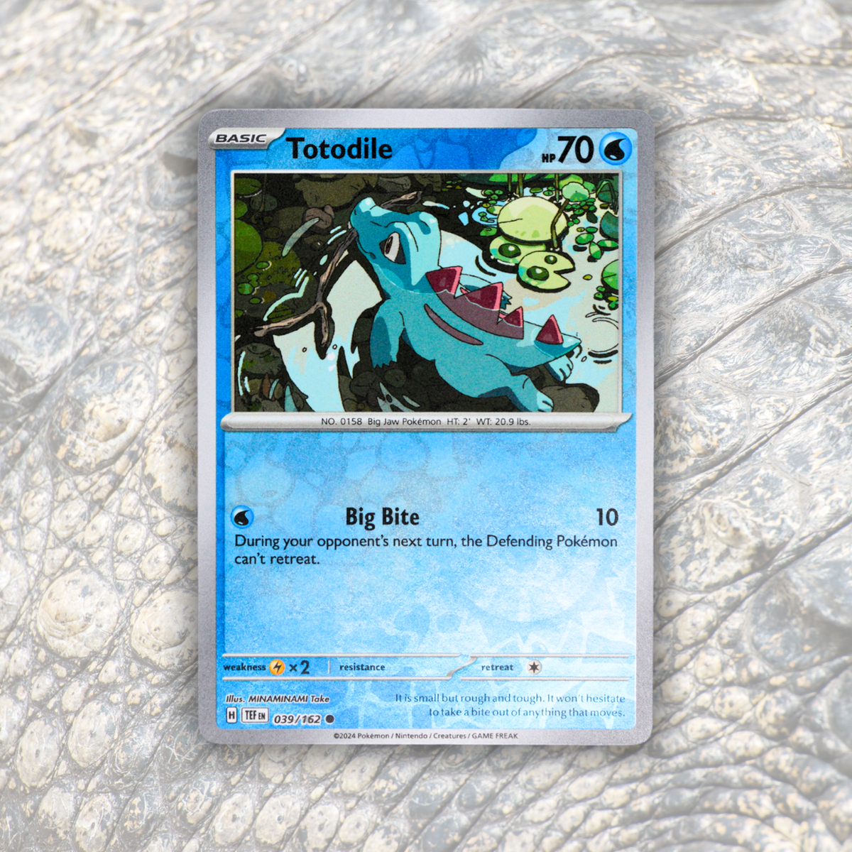Pokémon Fossil Display - Totodile with Crocodile Tooth Fossil