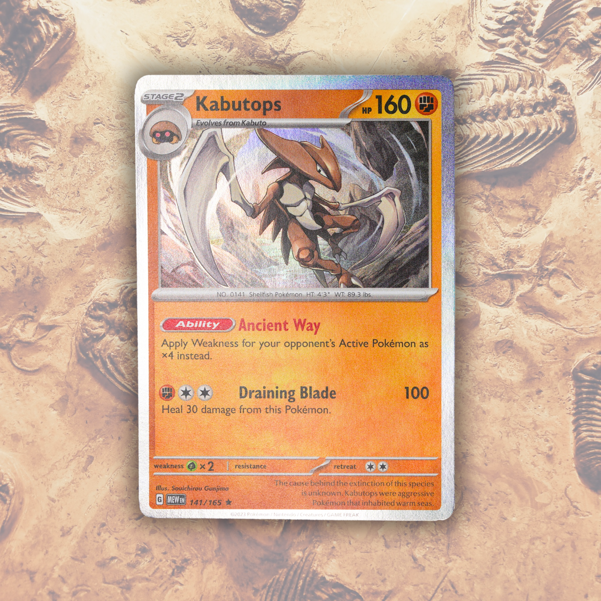 Pokémon Fossilien-Ausstellung – Kabutops Trilobiten-Fossil