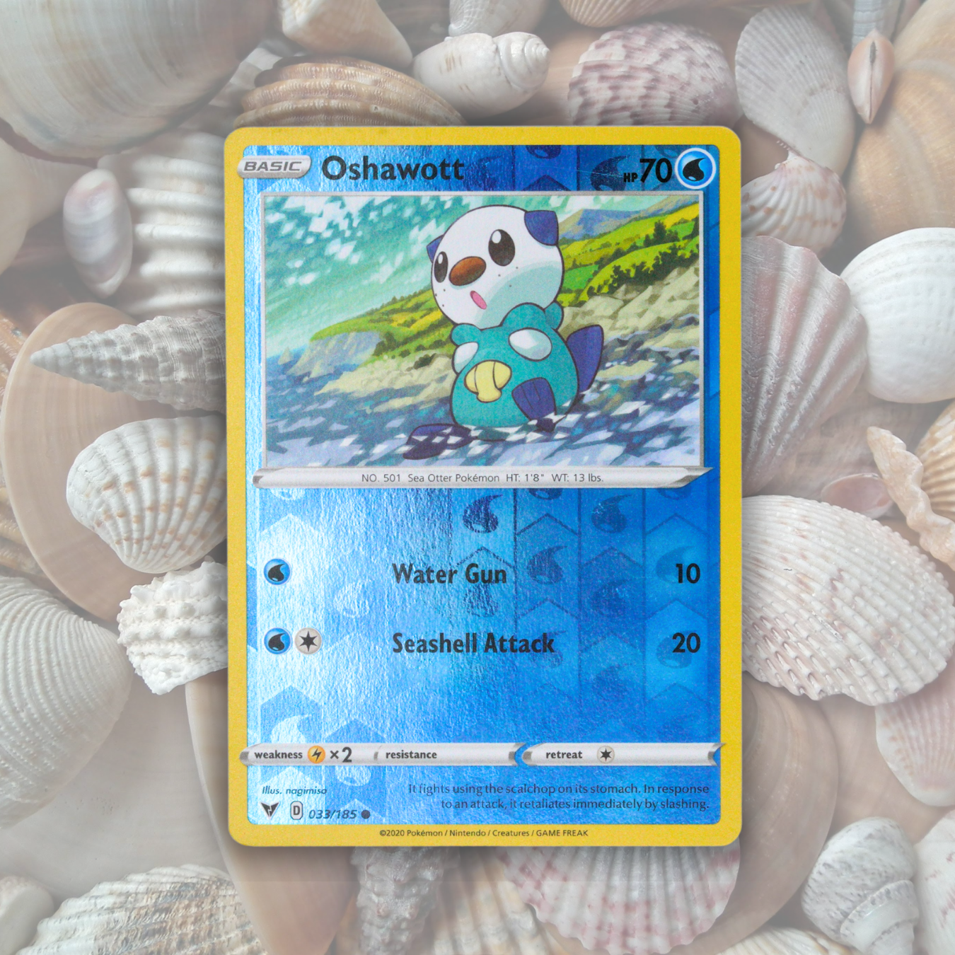 Oshawott Pokémon Fossil Display