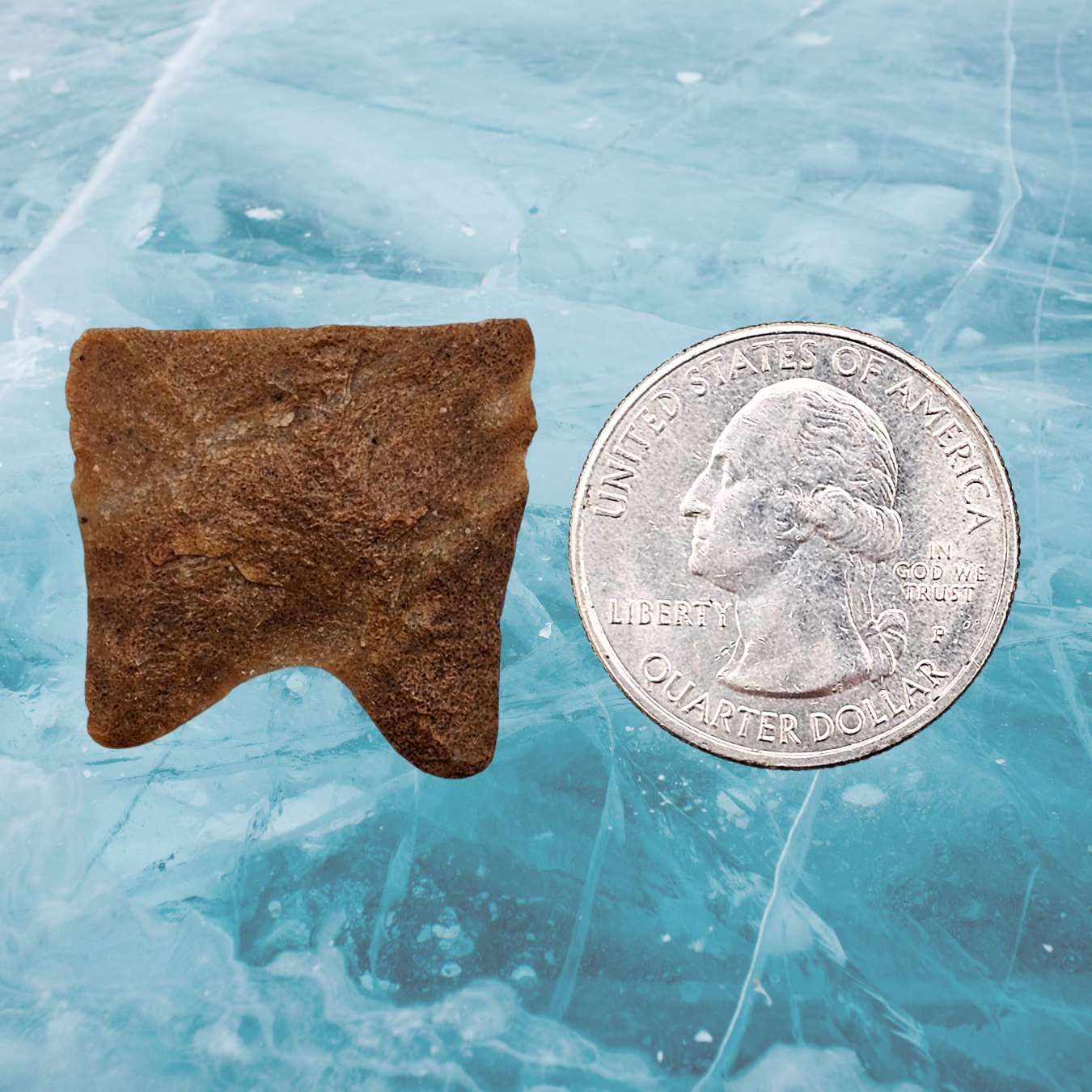 Ice Age Paleo Spear Point Base Display
