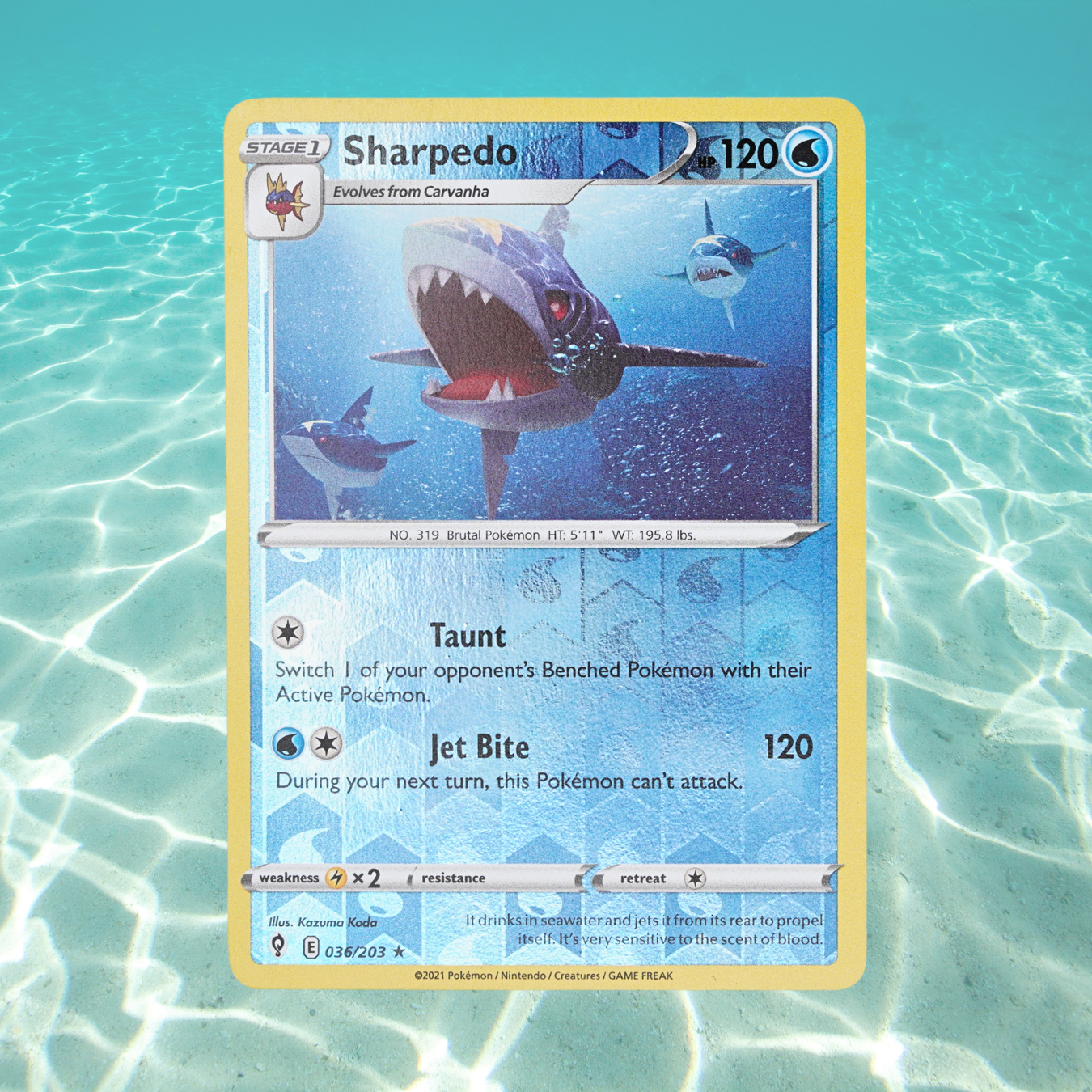 Pokémon Fossil Vitrine – Tohaido mit echtem Haifischzahn