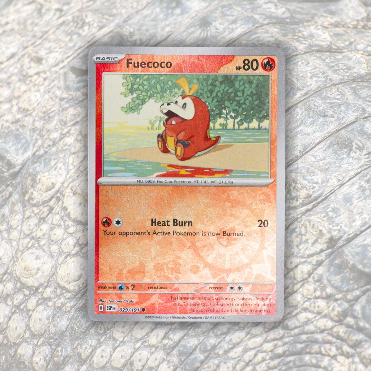 Pokémon Fossil Display - Fuecoco with Crocodile Tooth Fossil