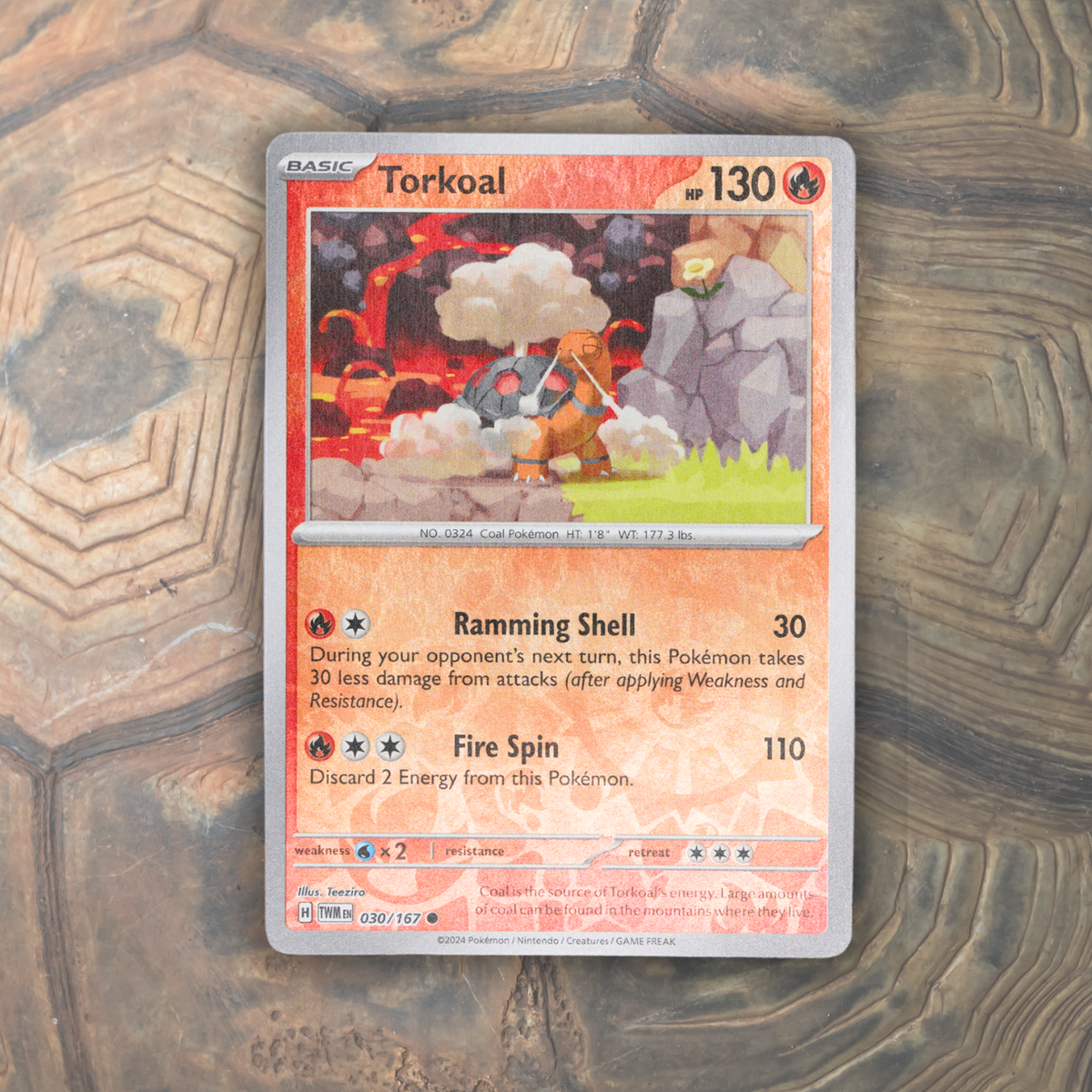 Pokémon Fossil Display - Torkoal with Tortoise Shell Fossil