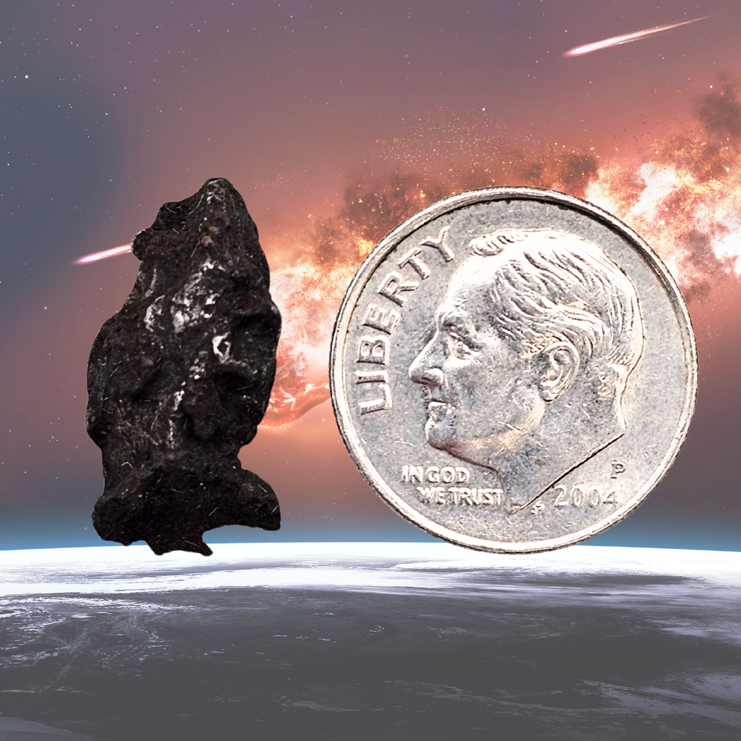 Sikhote-Alin Meteorite Display