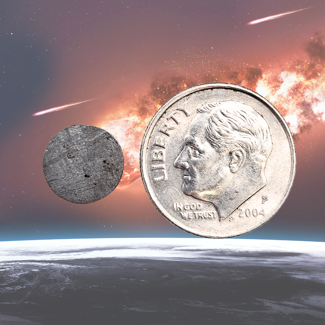 Muonionalusta Meteorite Display