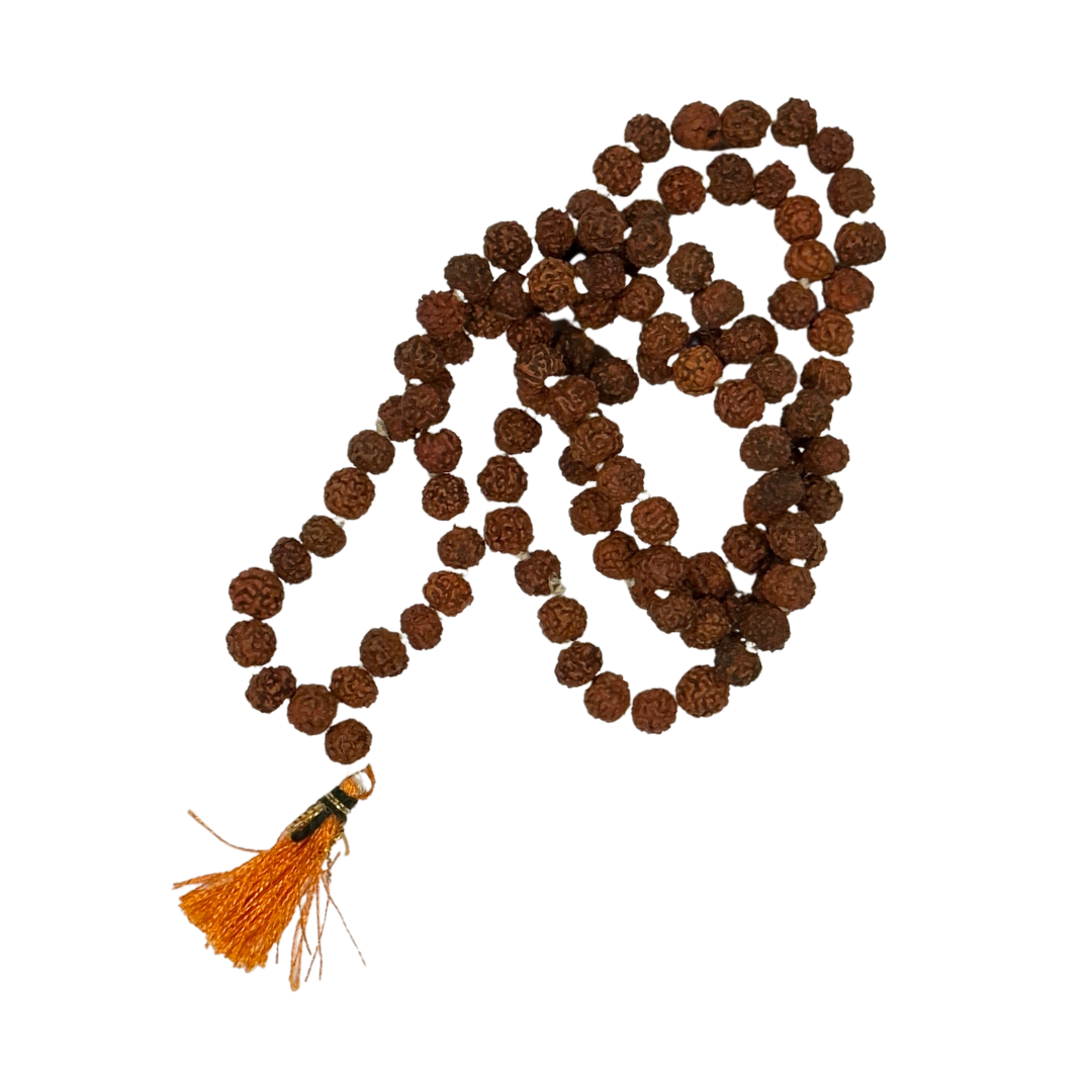 Rudraksha Tree Seed Mala Beads