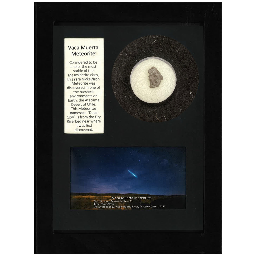 Vaca Muerta Meteorite