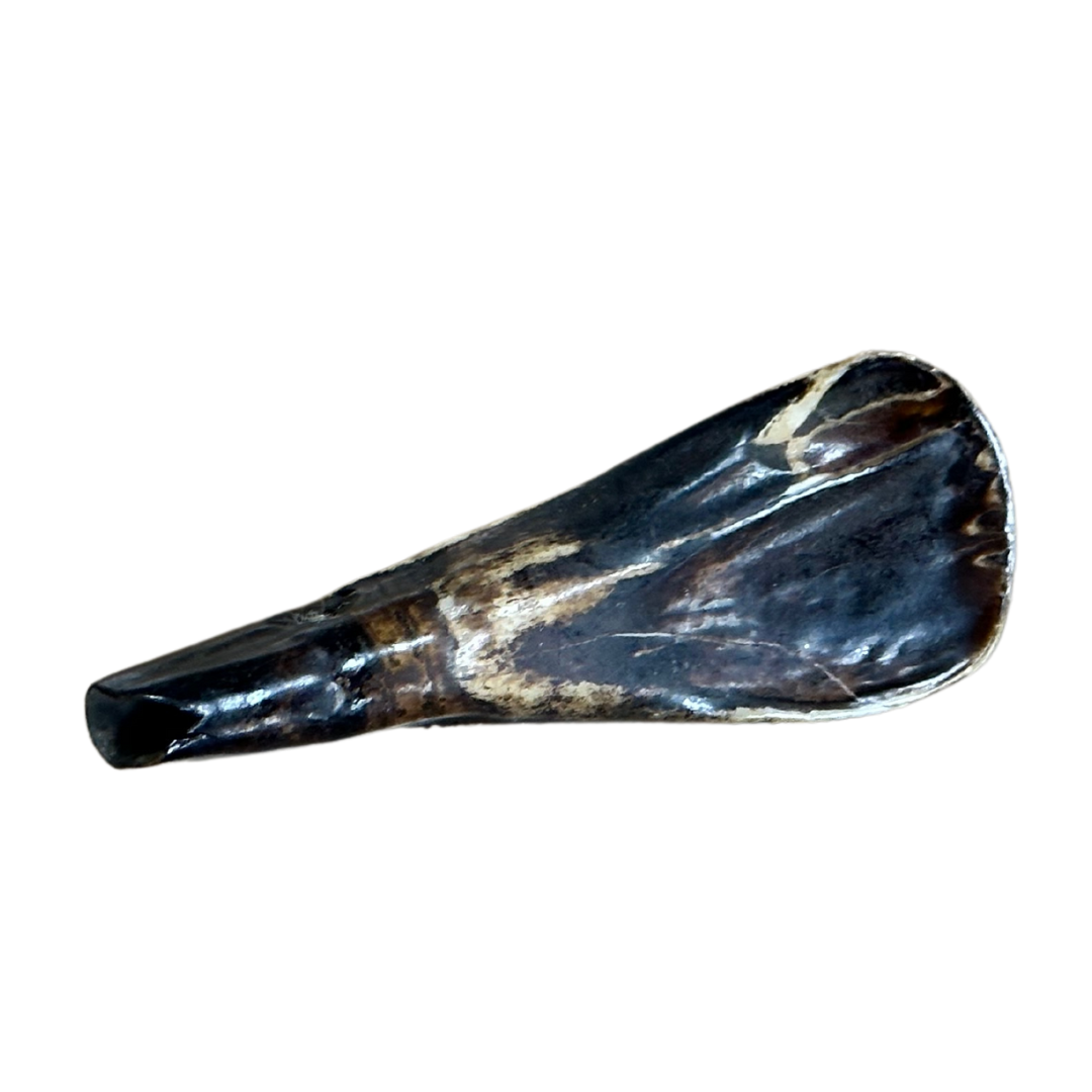 Buffalo Teeth