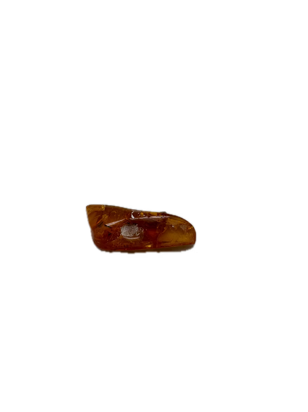 Fossil Amber With Insects