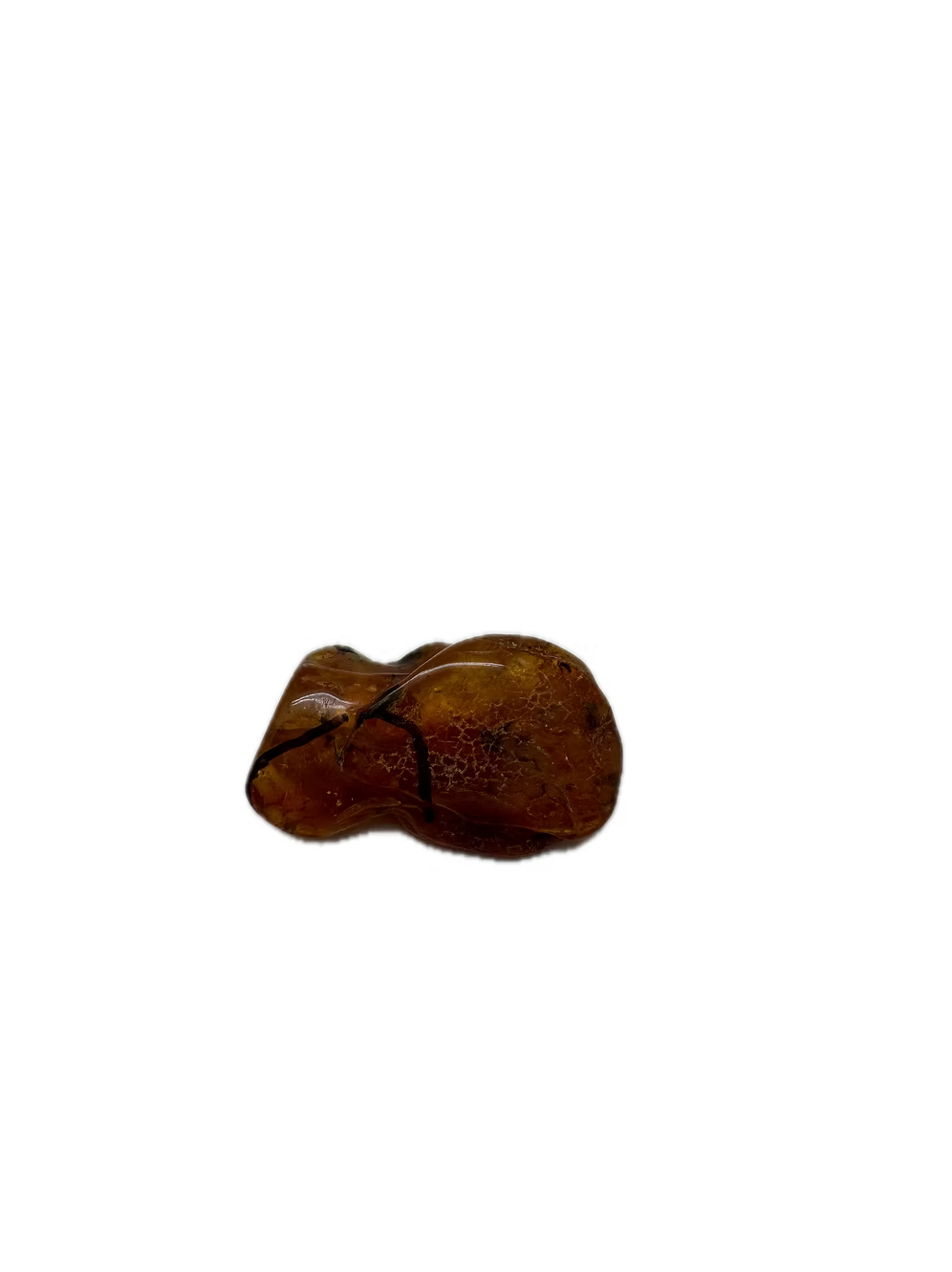 Fossil Amber With Insects