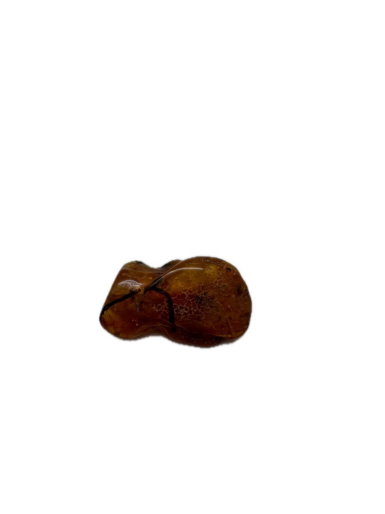 Fossilien-Bernstein mit Insekten
