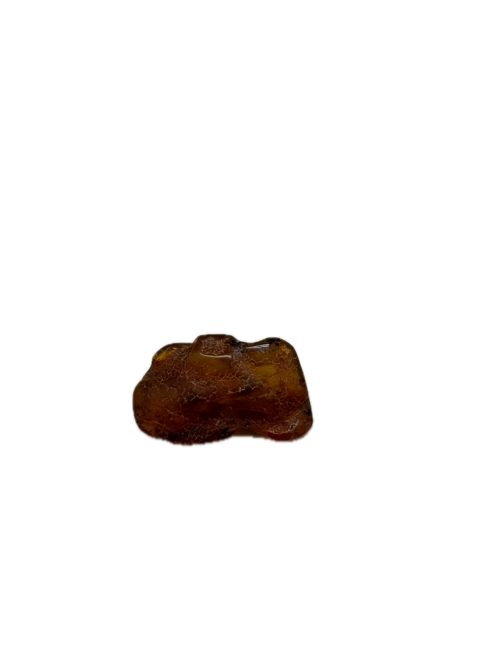 Fossil Amber With Insects