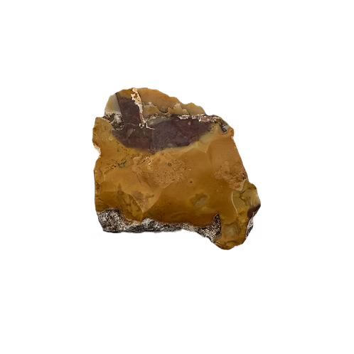 French Mousterian Neanderthal Tool