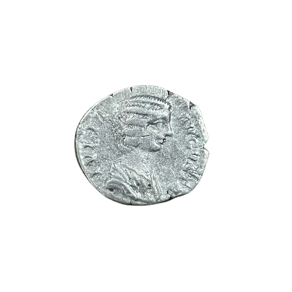 Roman Silver Denarius of Julia Domna – “Philosophical Empress” (194–217 AD)