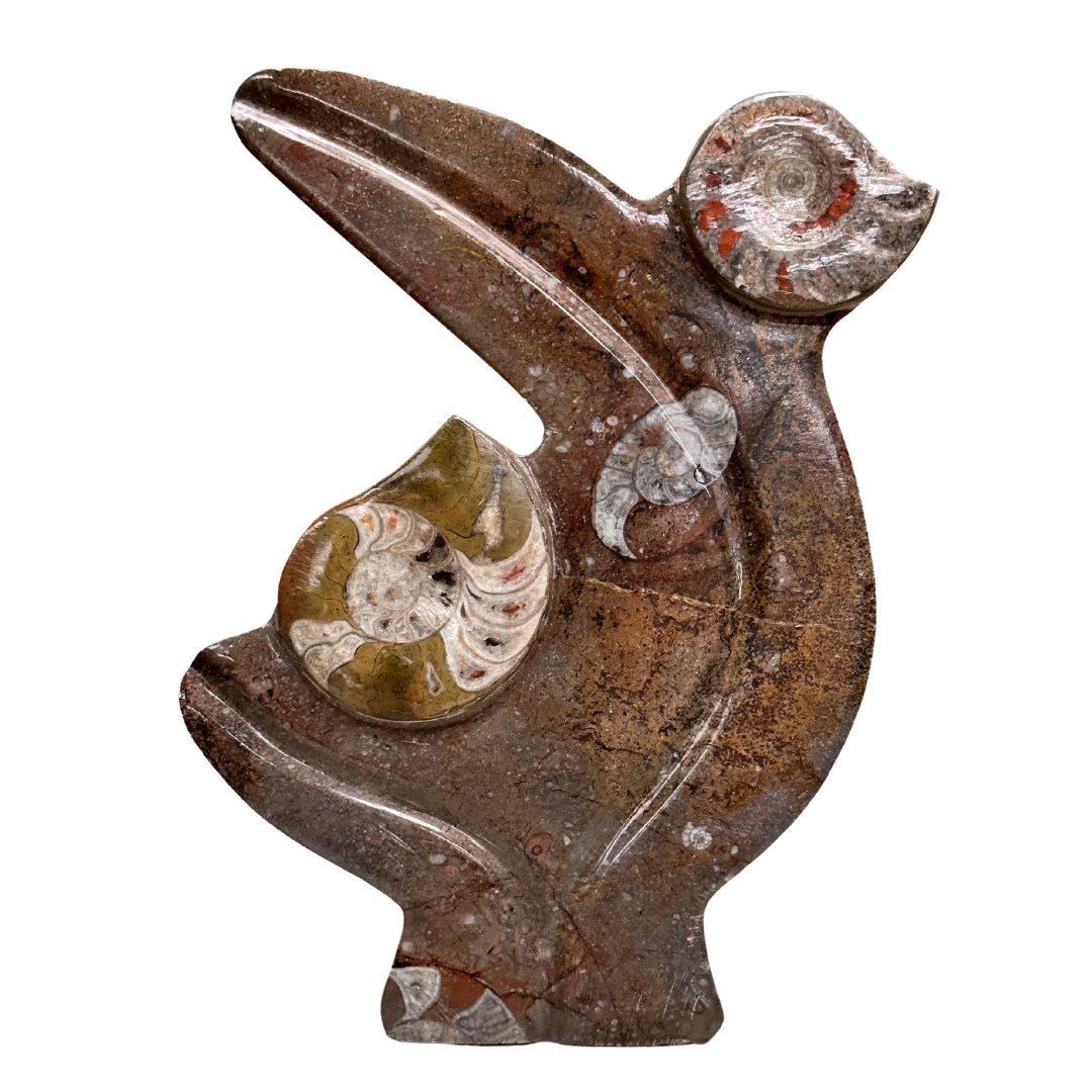 Fossil Ammonite Plate Stand