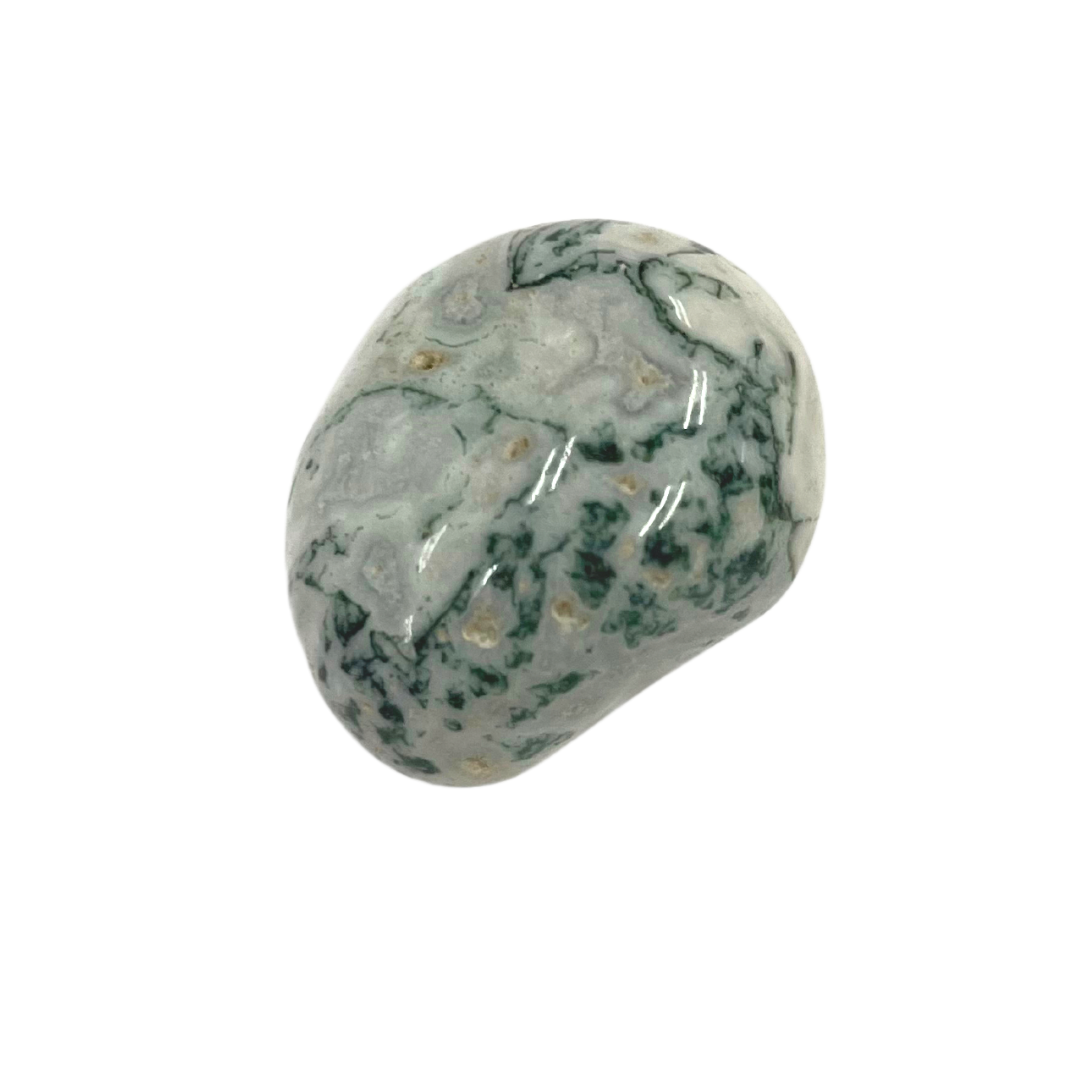 Tree Agate