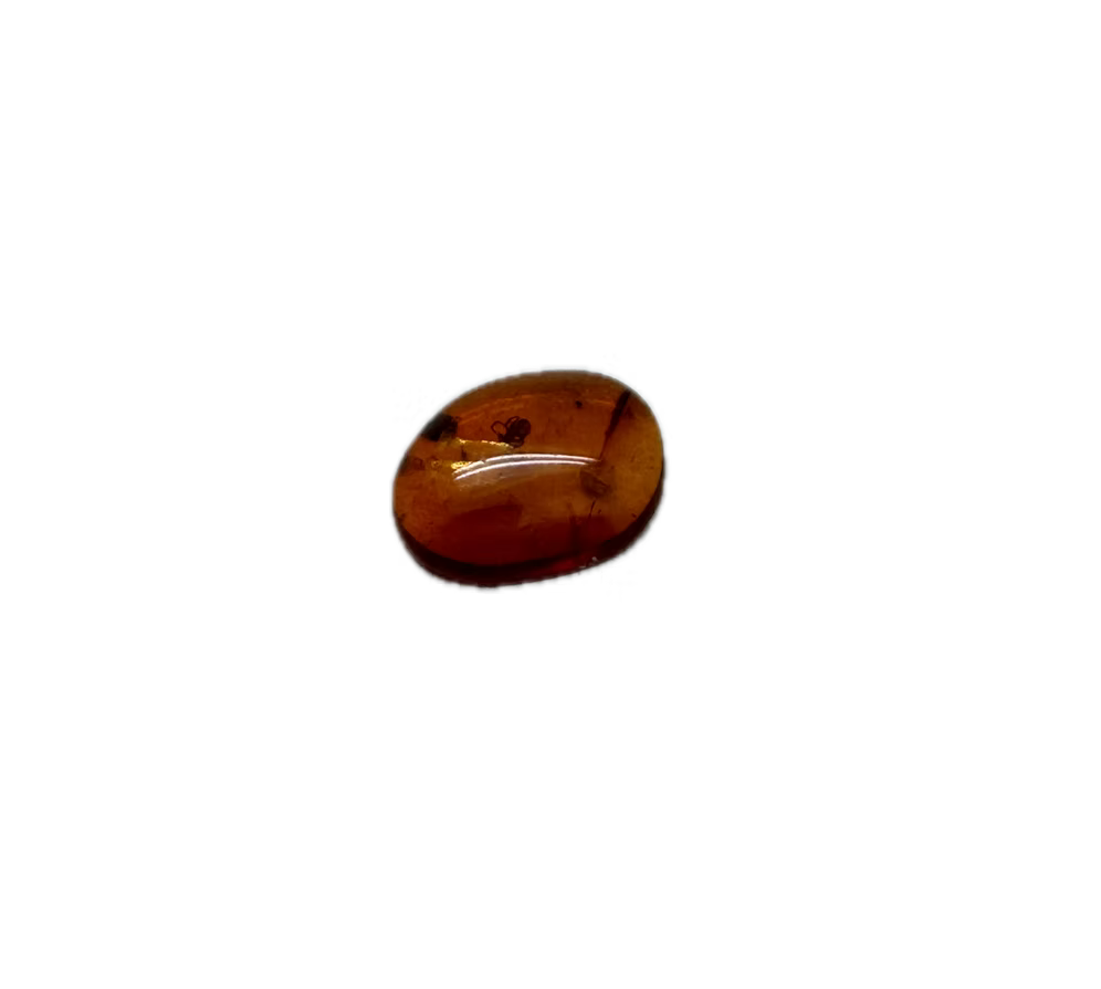 Insect in Dinosaur Age Burmite "Amber"