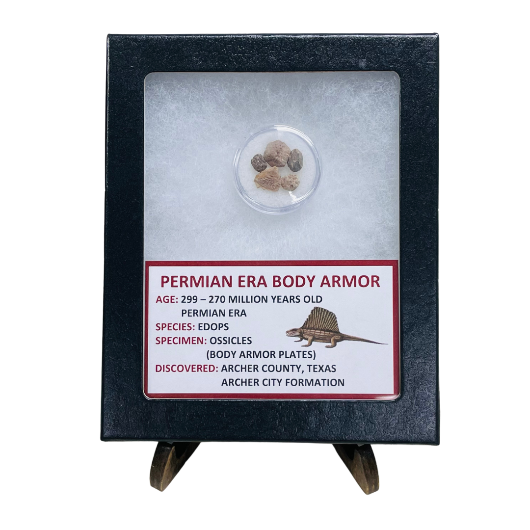 Permian Era Body Armor