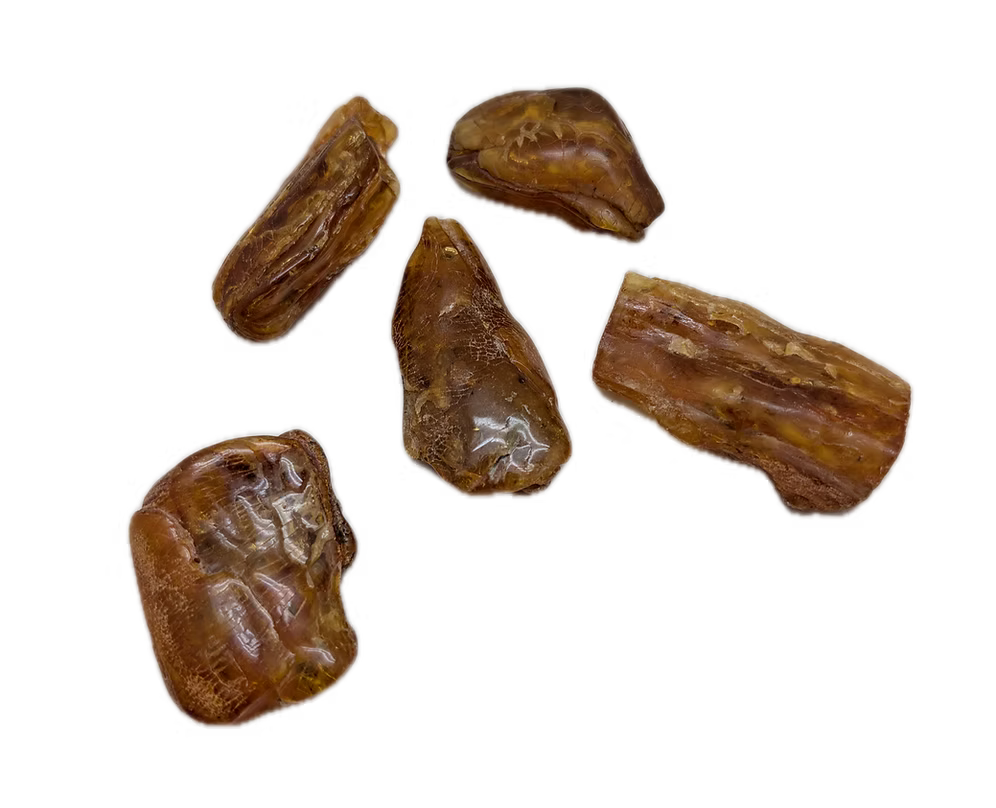 Raw Baltic Amber