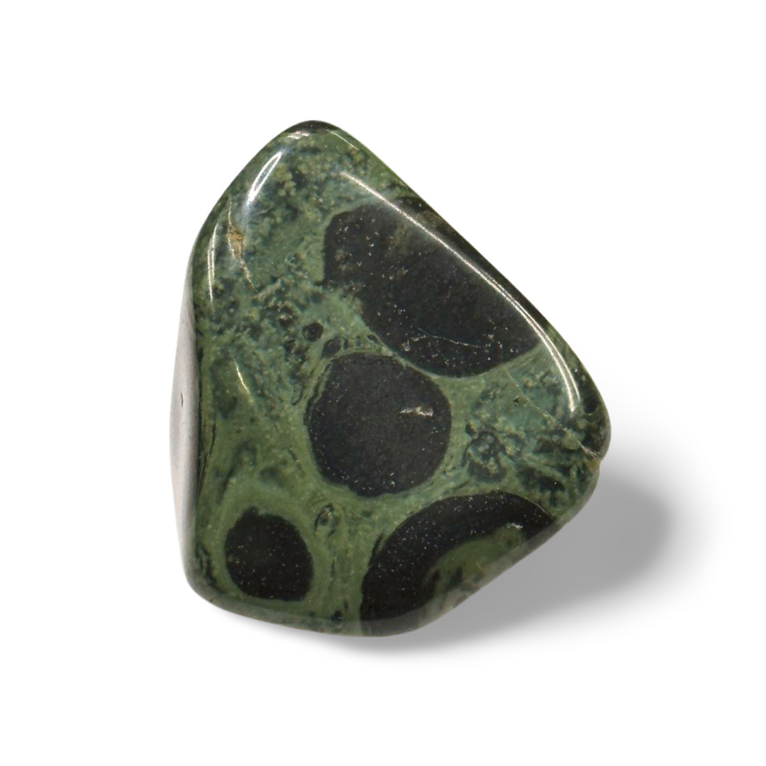 Crocodile Jasper