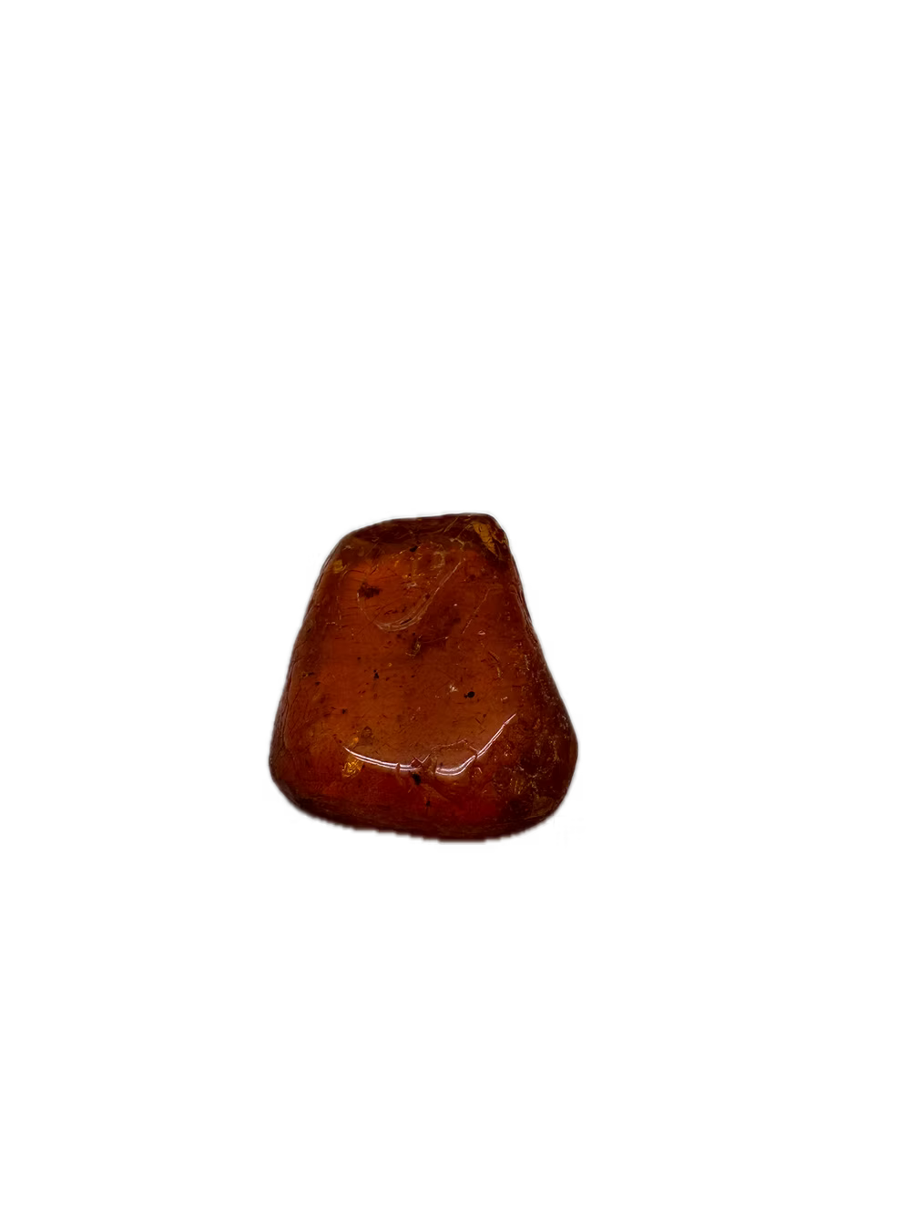 Fossilienbernstein mit Insekteneinschlüssen