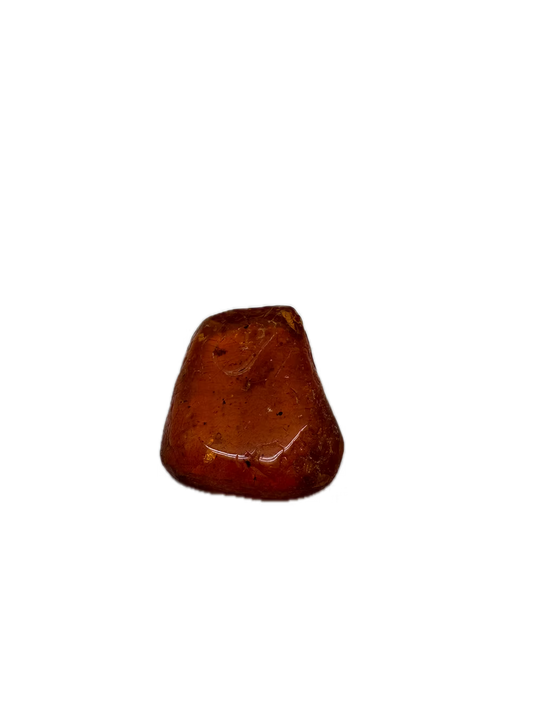 Fossilienbernstein mit Insekteneinschlüssen