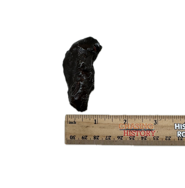 Gebel Kamil Meteorite Display Specimen – Iron Meteorite from Egypt