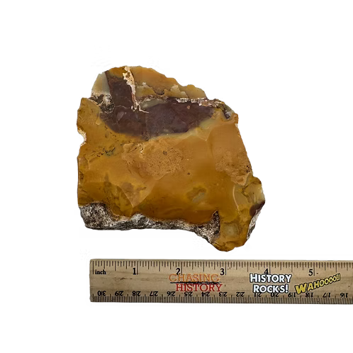 French Mousterian Neanderthal Tool