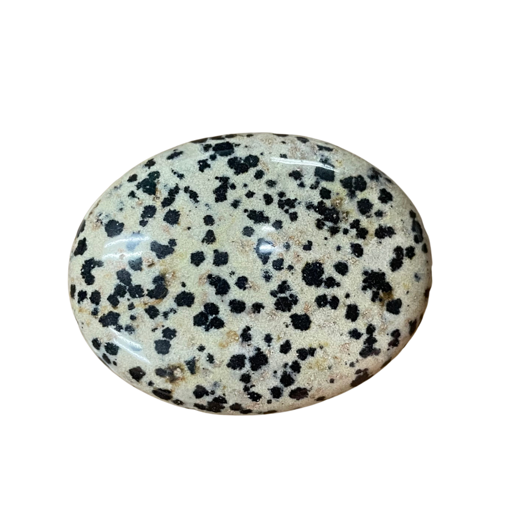 Dalmatian Jasper