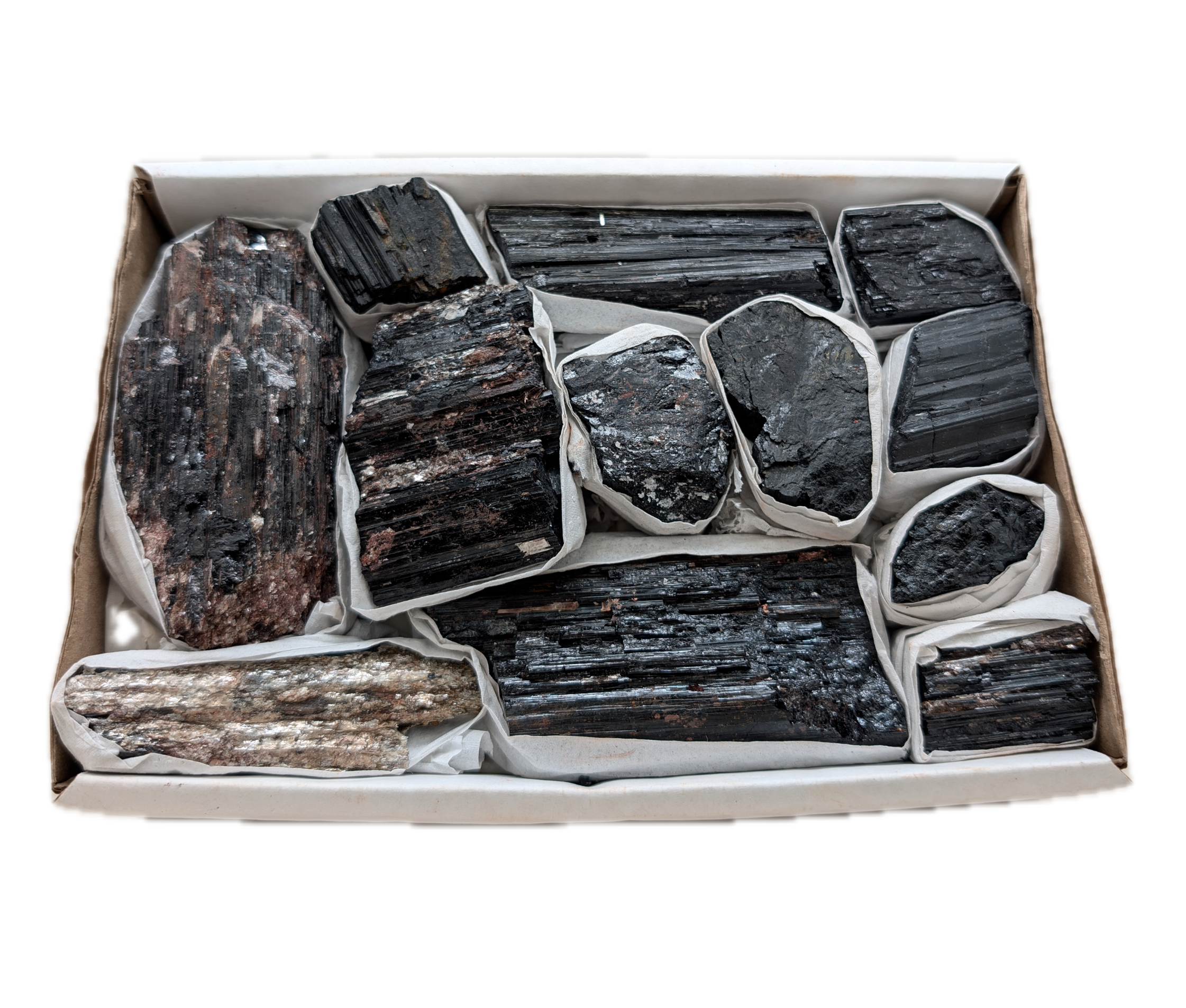 Black Tourmaline Bundle