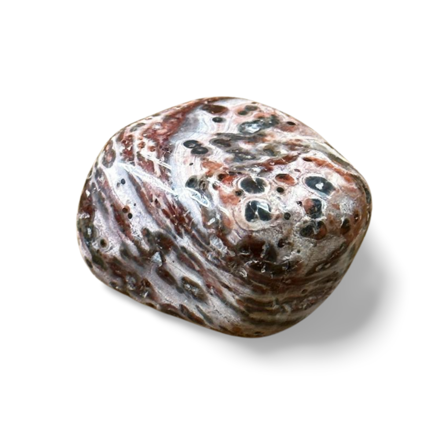 Leopard Jasper