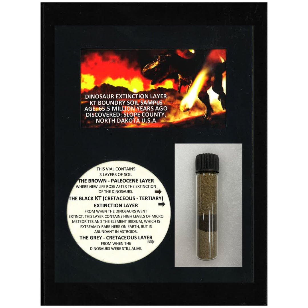 Dinosaur Extinction Layer