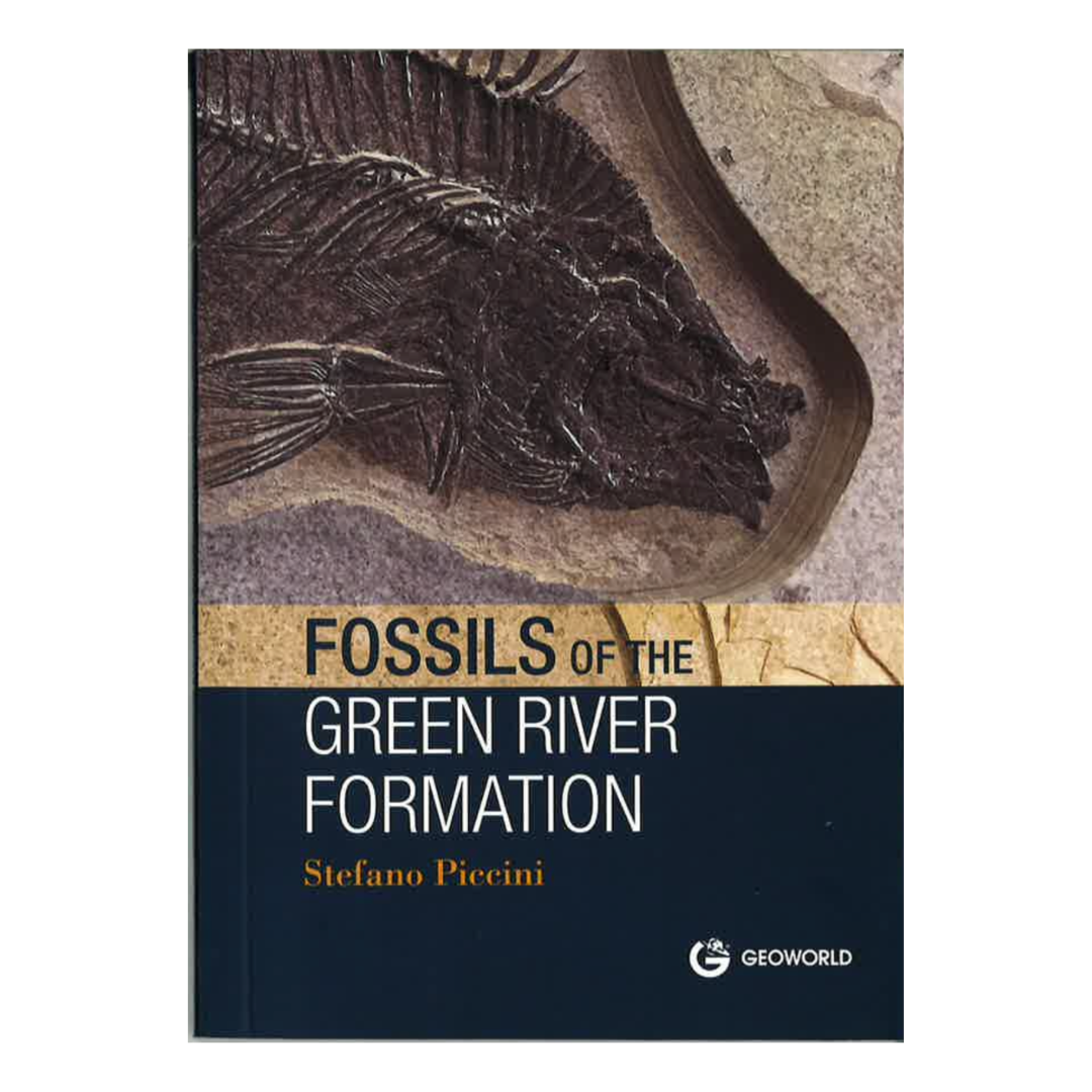 Fossils of the Green River Formation