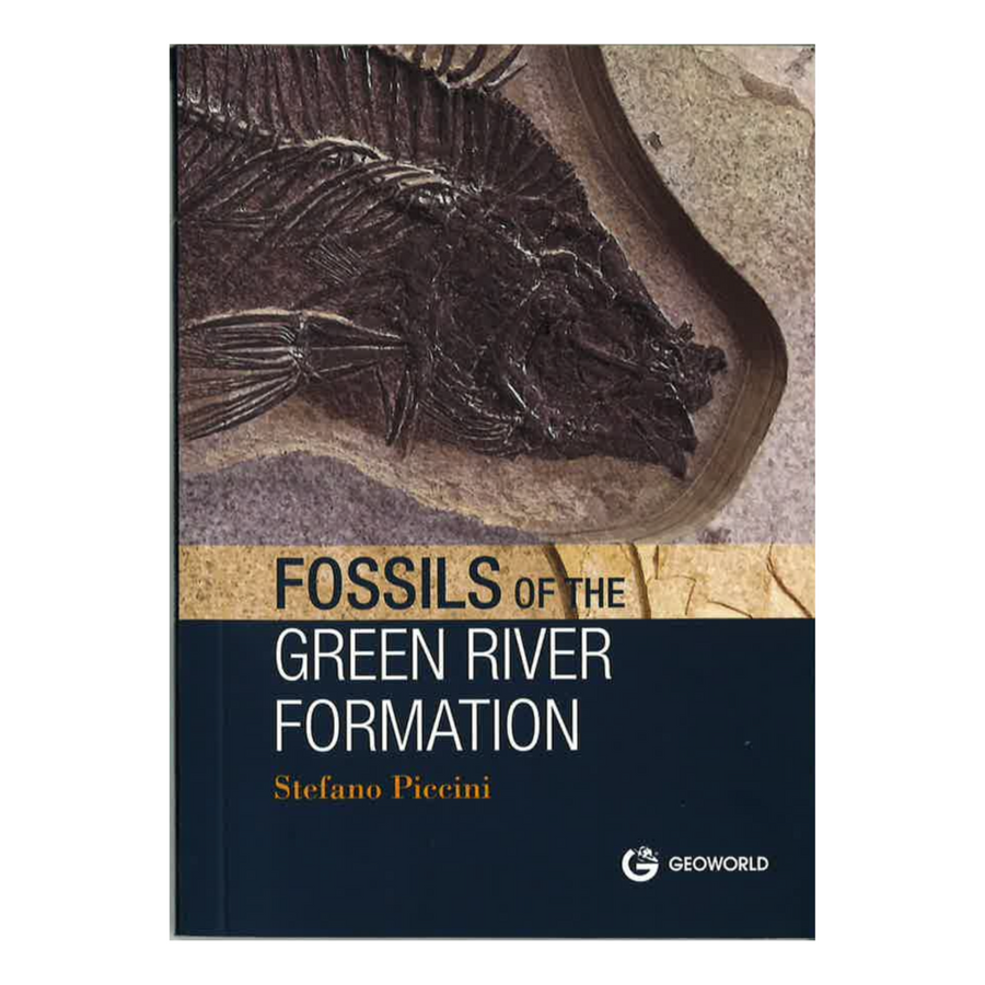Fossils of the Green River Formation