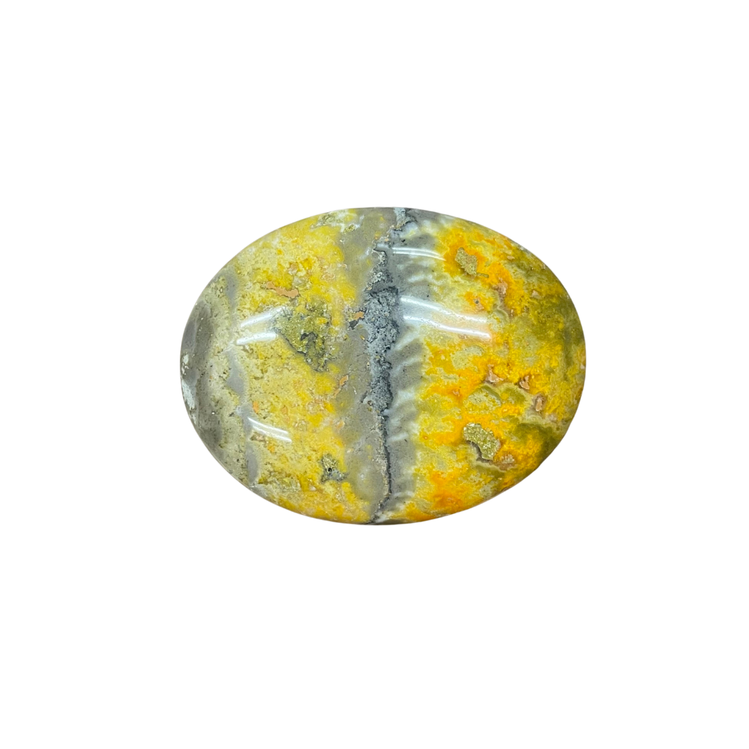 Bumble Bee Jasper