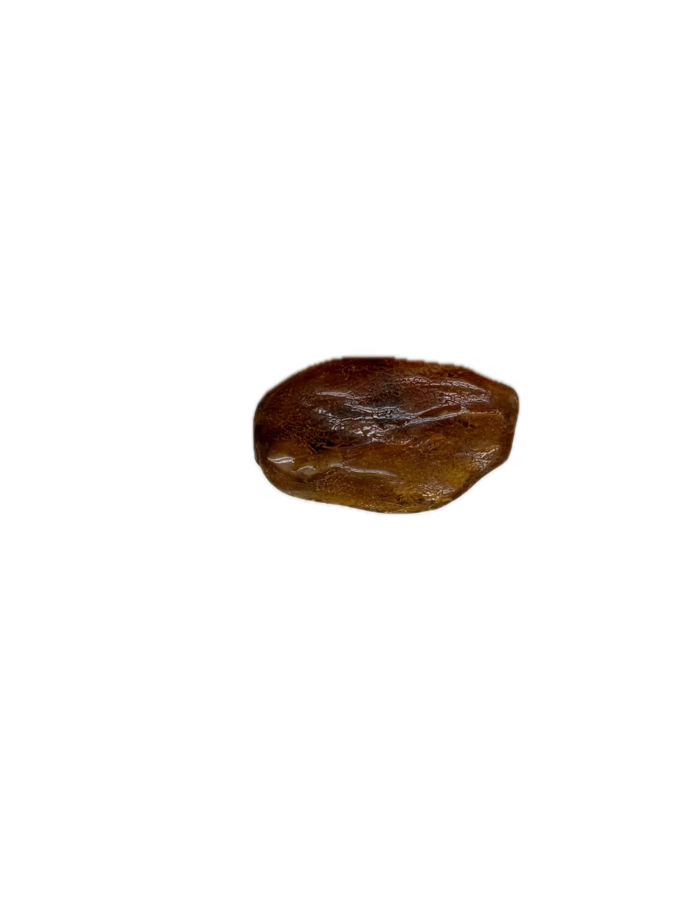 Fossil Amber With Insects