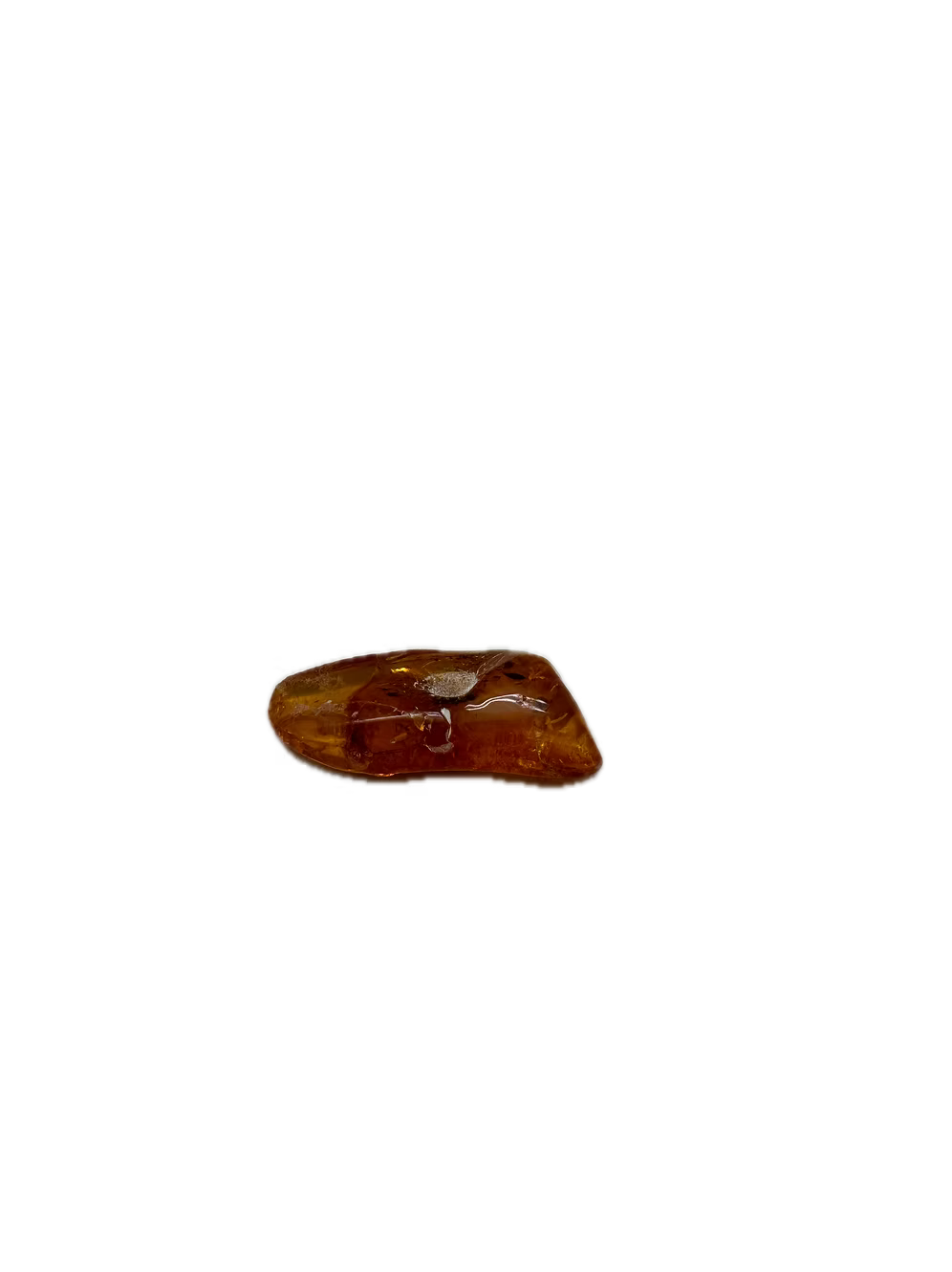 Fossil Amber With Insects